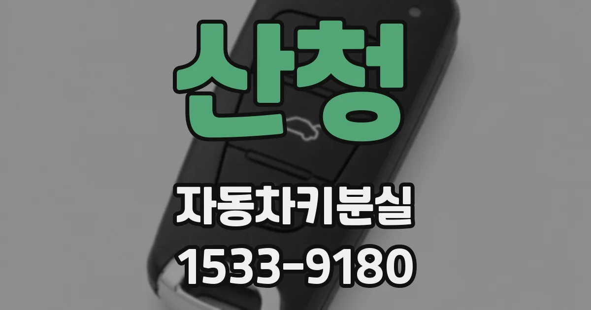 산청 자동차키분실