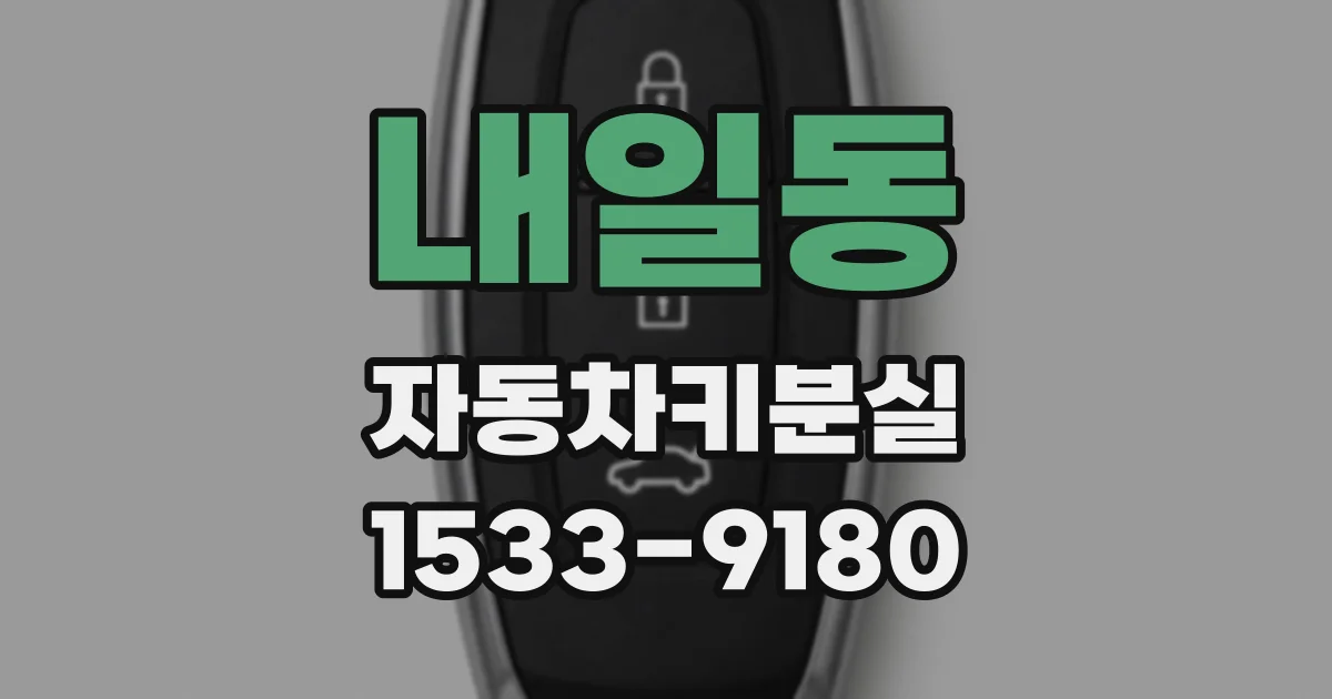 내일동 자동차키분실
