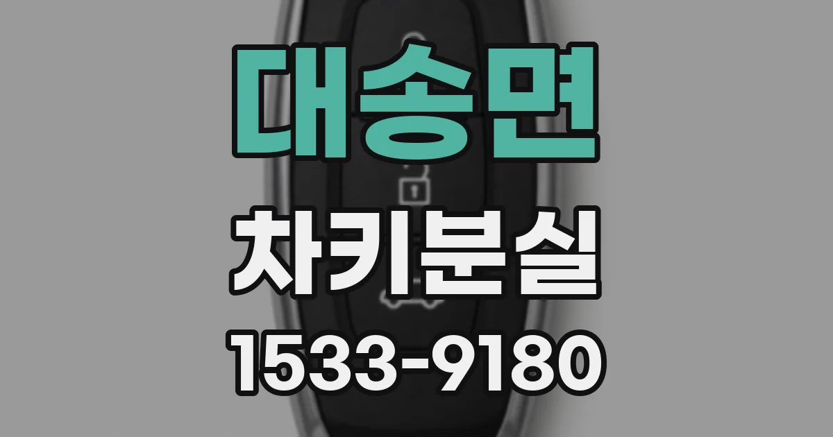대송면 차키분실