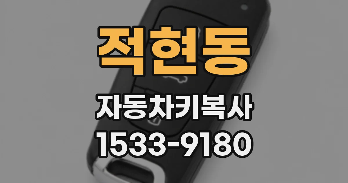 적현동 자동차키복사
