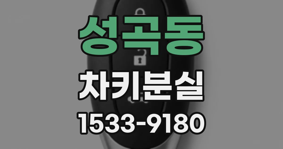 성곡동 차키분실