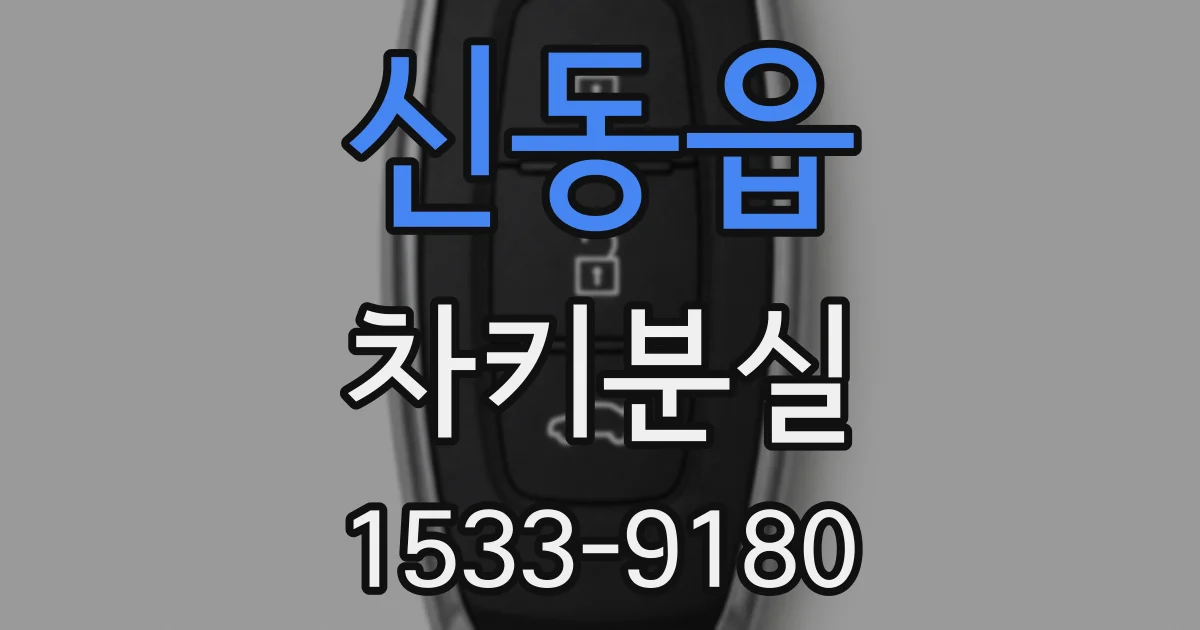 신동읍 차키분실