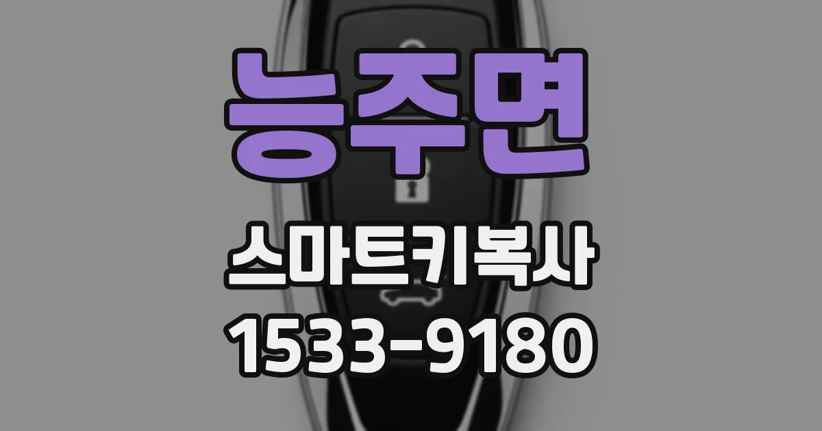 능주면 스마트키복사