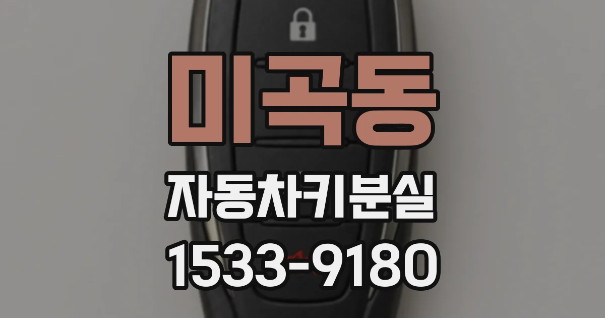 미곡동 자동차키분실