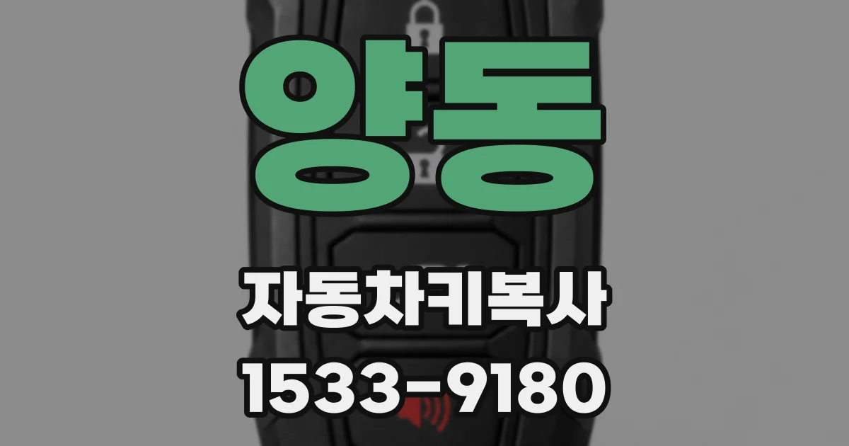 양동 자동차키복사