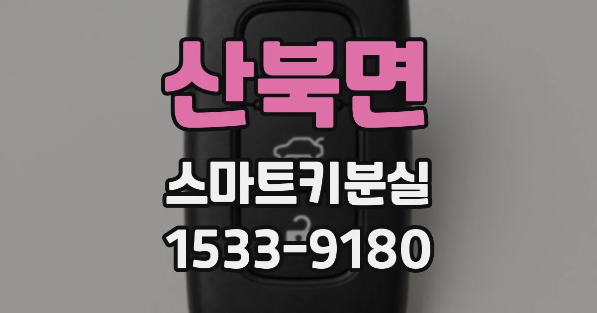 산북면 스마트키분실