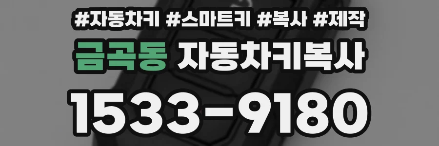 금곡동 자동차키복사