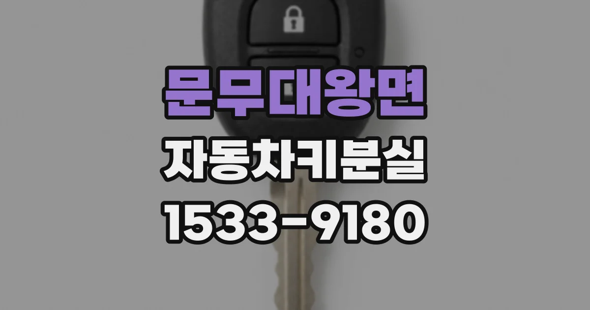 문무대왕면 자동차키분실