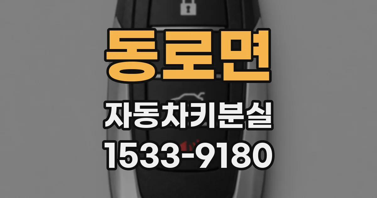 동로면 자동차키분실