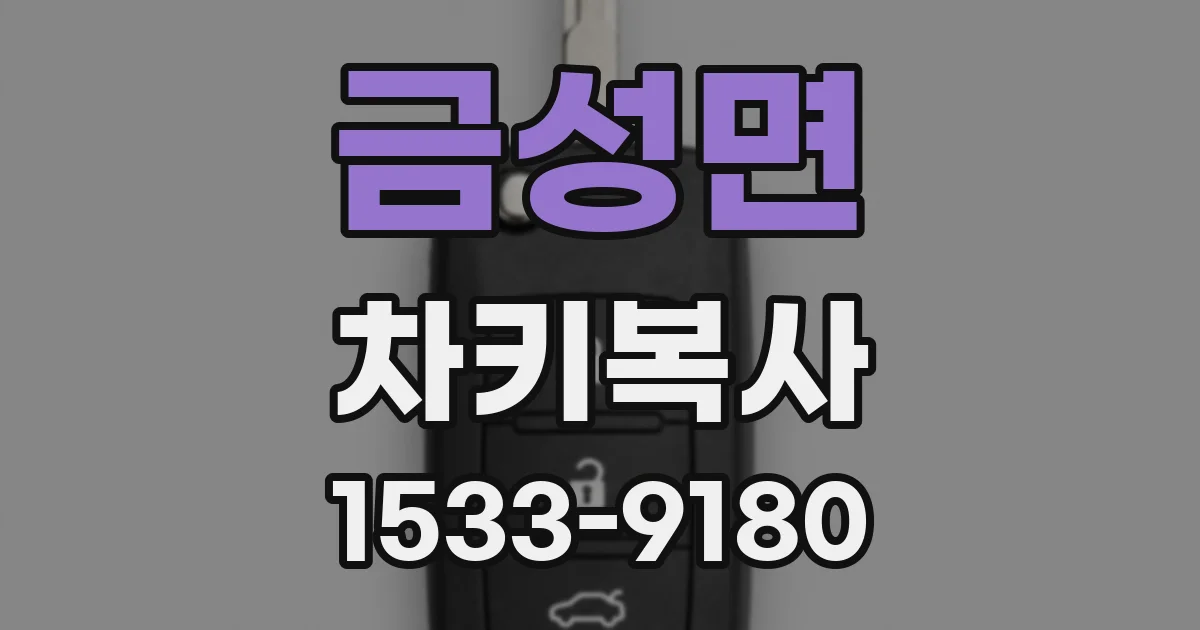 금성면 차키복사