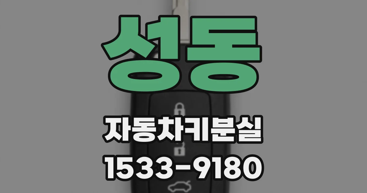 성동 자동차키분실