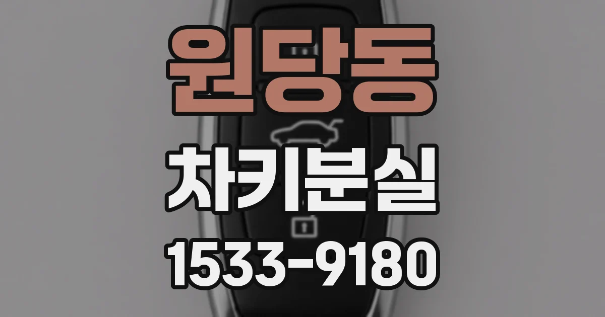 원당동 차키분실