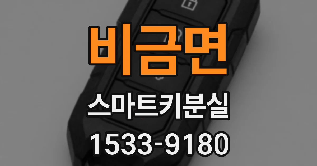 비금면 스마트키분실