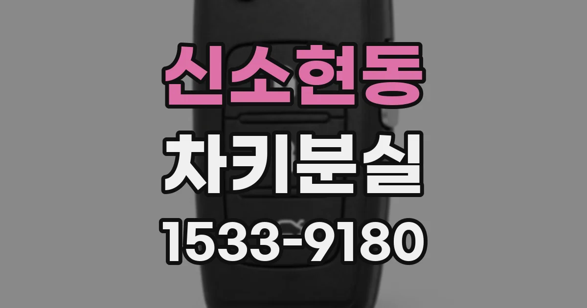 신소현동 차키분실