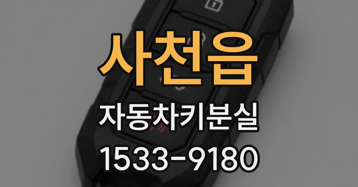 사천읍 자동차키분실