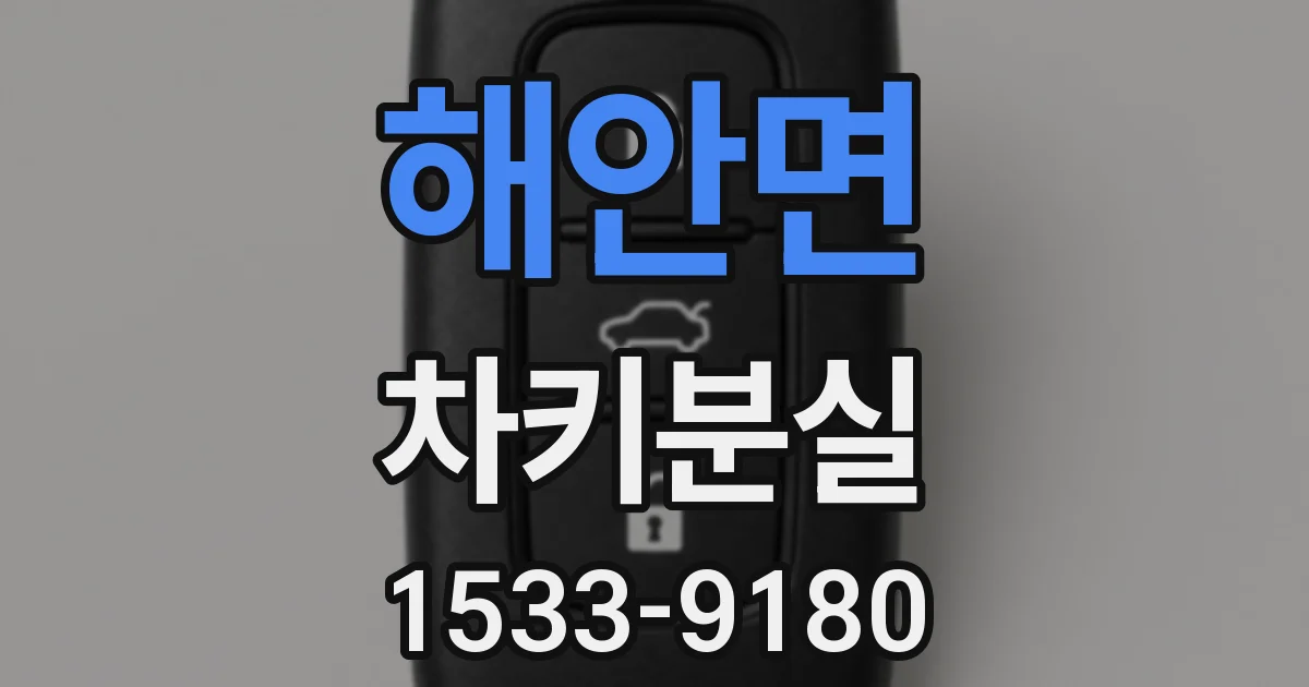 해안면 차키분실