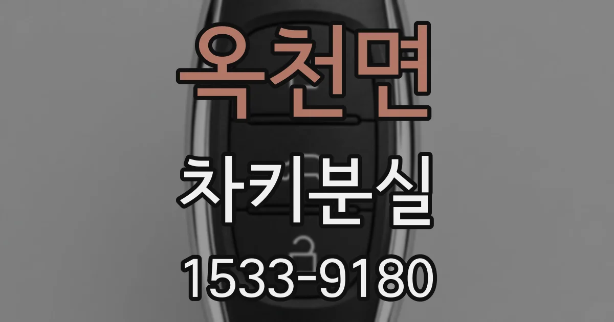 옥천면 차키분실
