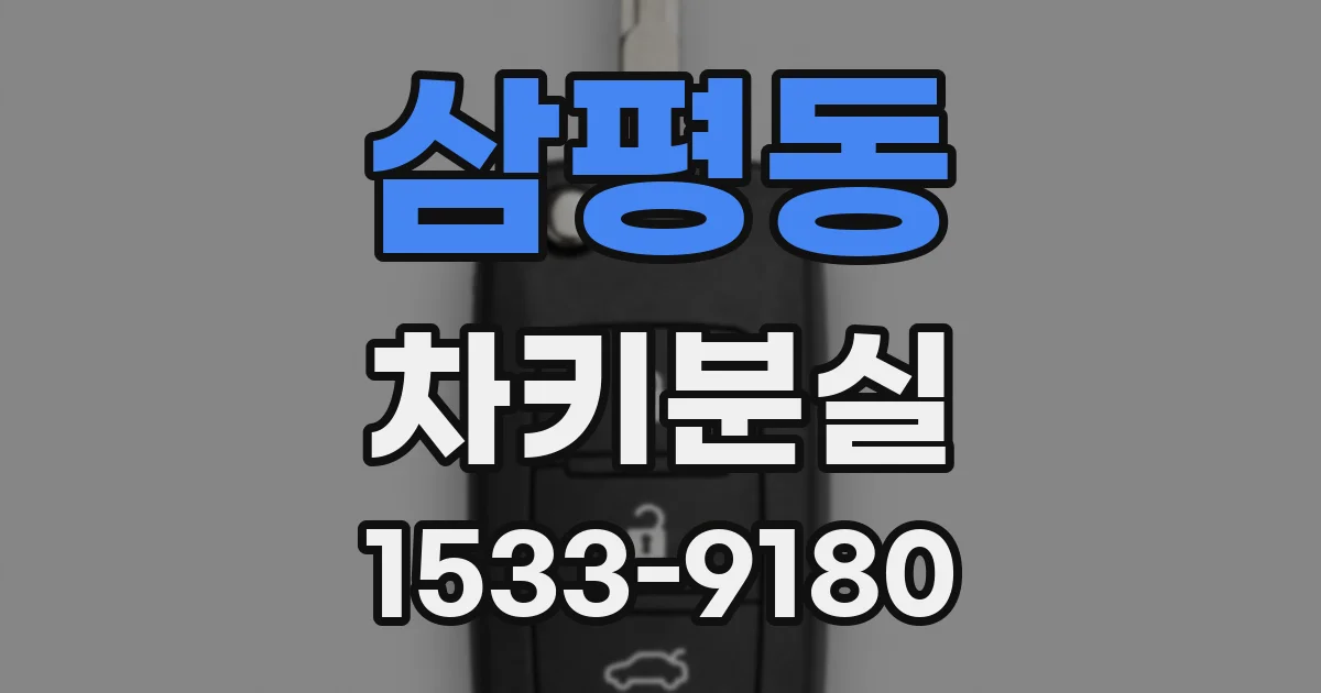 삼평동 차키분실