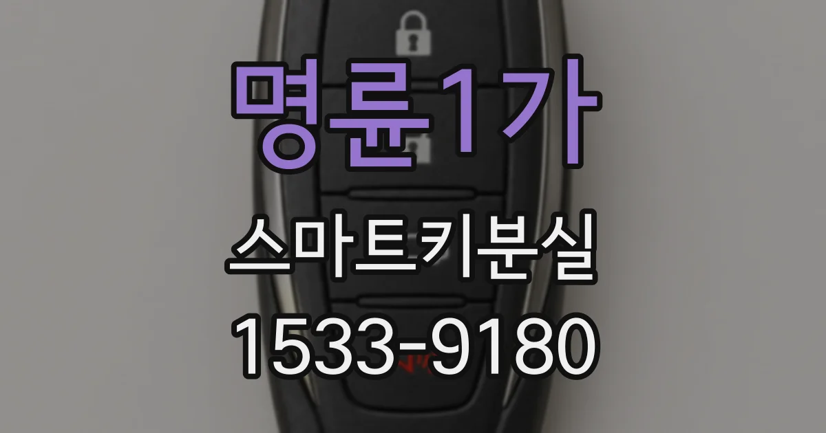 명륜1가 스마트키분실
