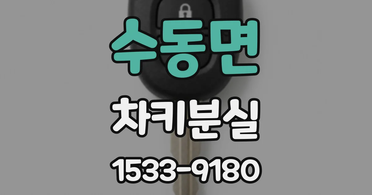 수동면 차키분실