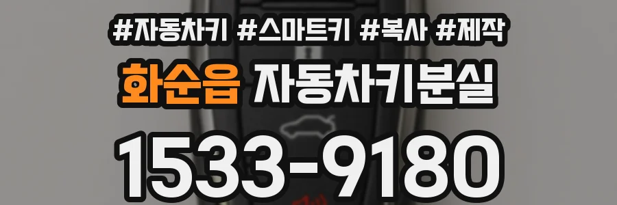 화순읍 자동차키분실