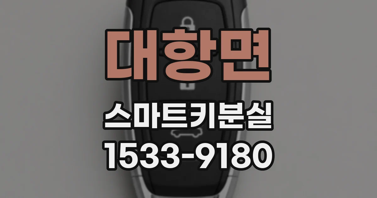 대항면 스마트키분실