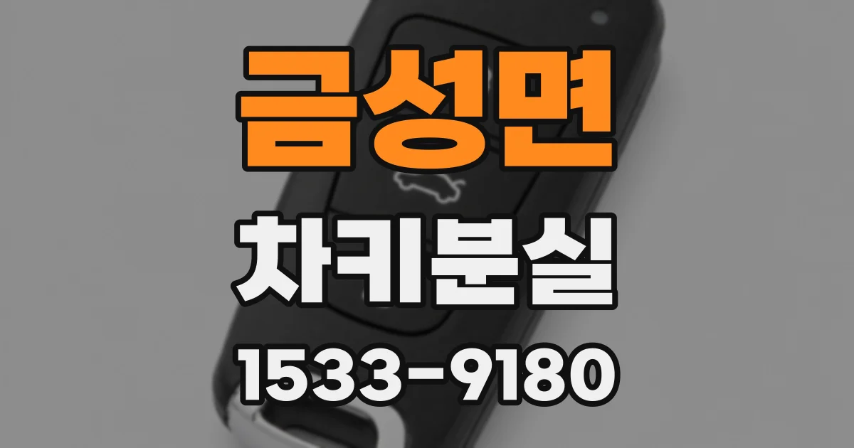 금성면 차키분실