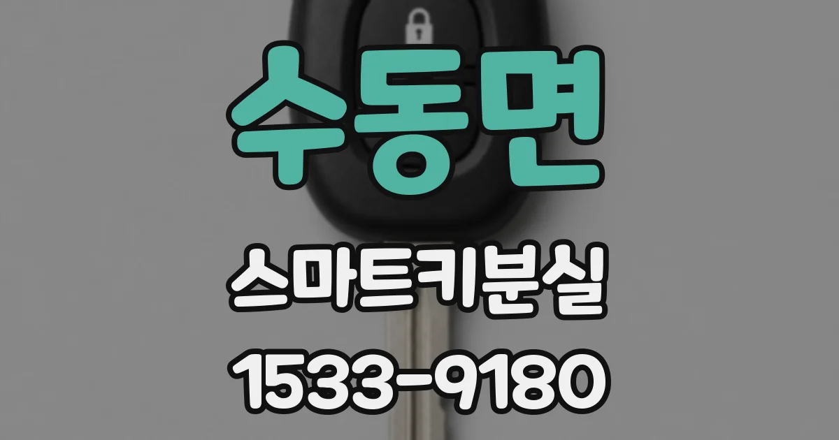 수동면 스마트키분실