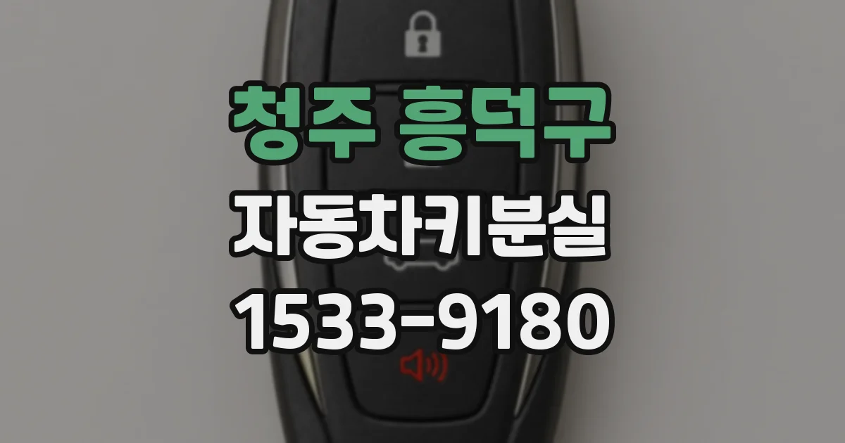 청주 흥덕구 자동차키분실