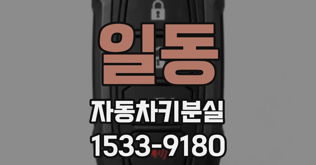 일동 자동차키분실