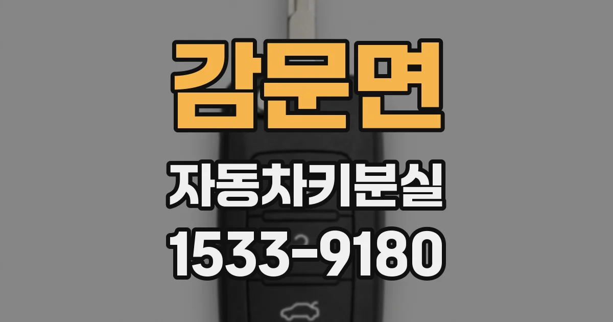감문면 자동차키분실