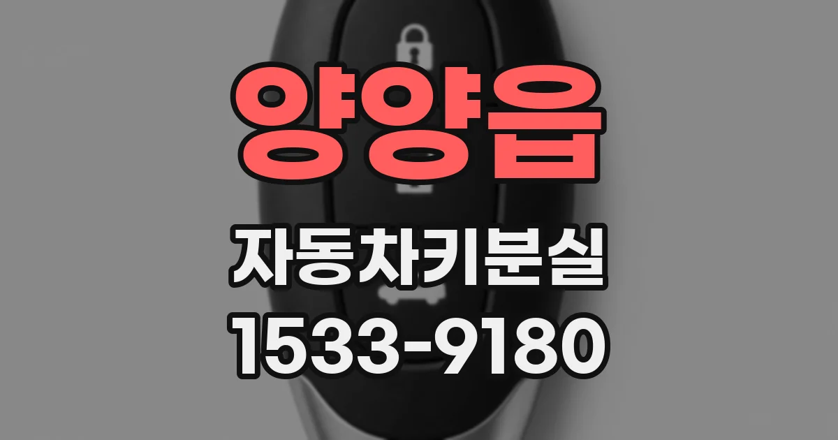 양양읍 자동차키분실