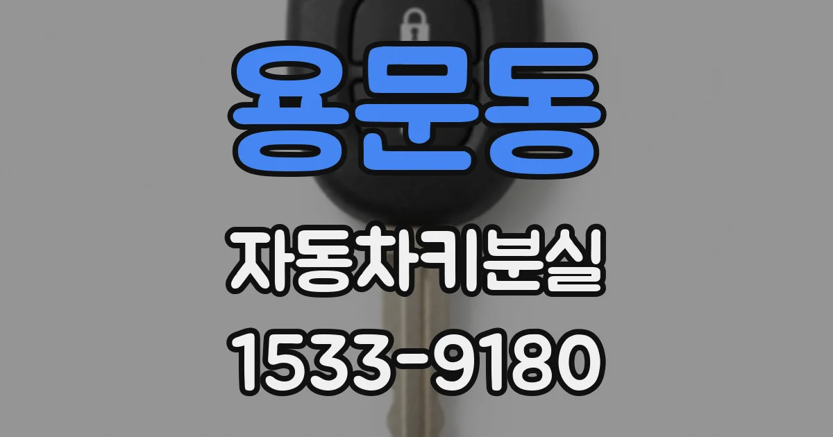 용문동 자동차키분실