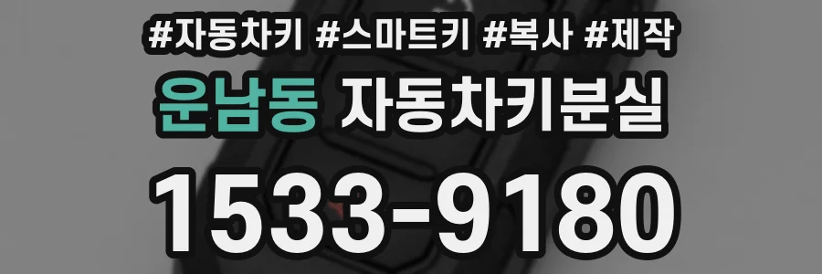 운남동 자동차키분실