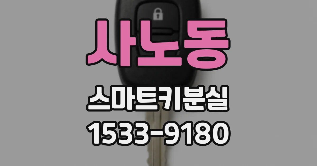 사노동 스마트키분실