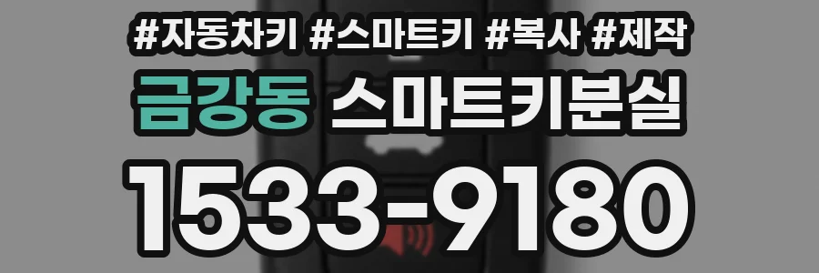 금강동 스마트키분실