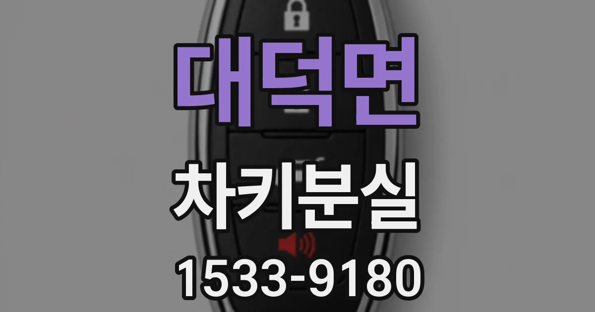 대덕면 차키분실