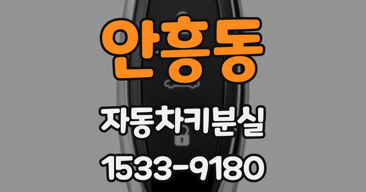 안흥동 자동차키분실