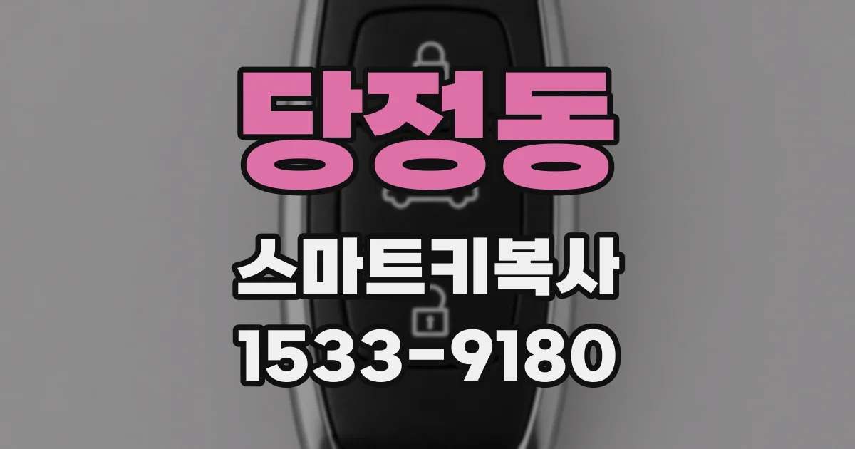 당정동 스마트키복사