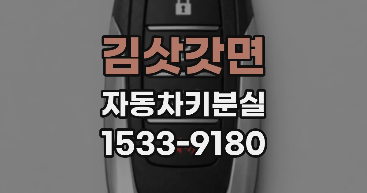 김삿갓면 자동차키분실
