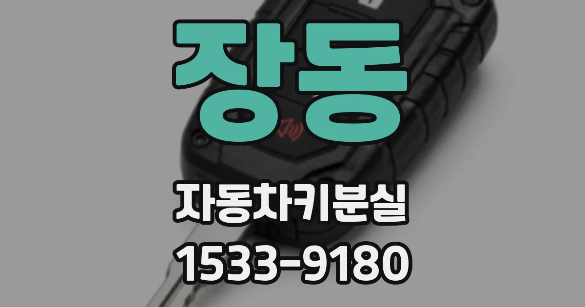 장동 자동차키분실