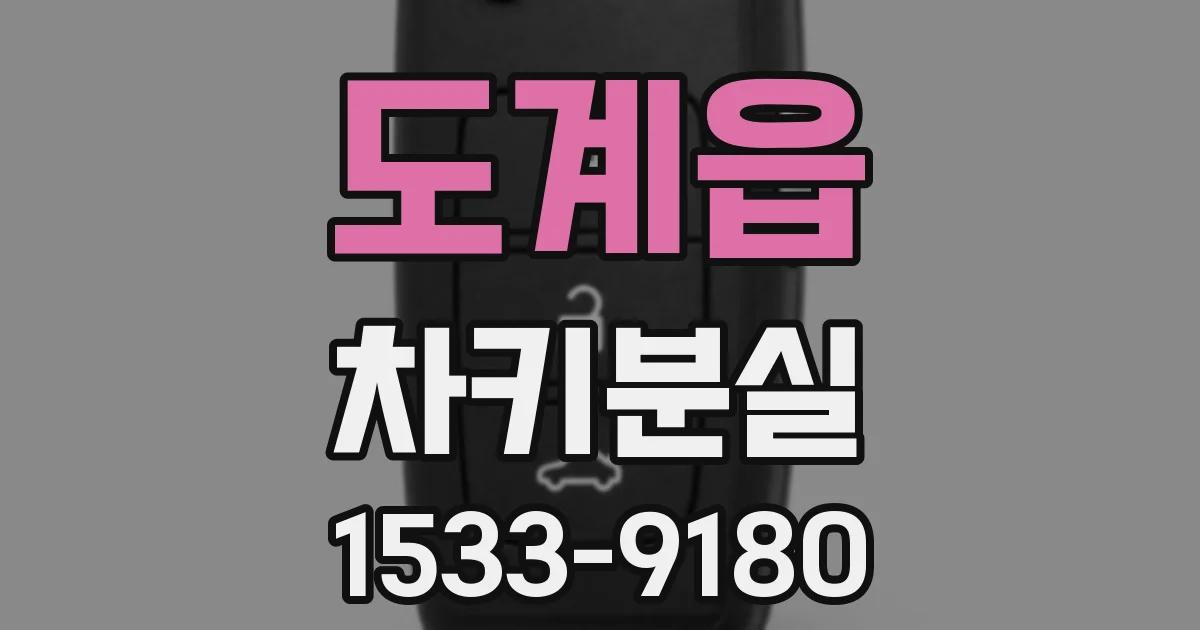 도계읍 차키분실
