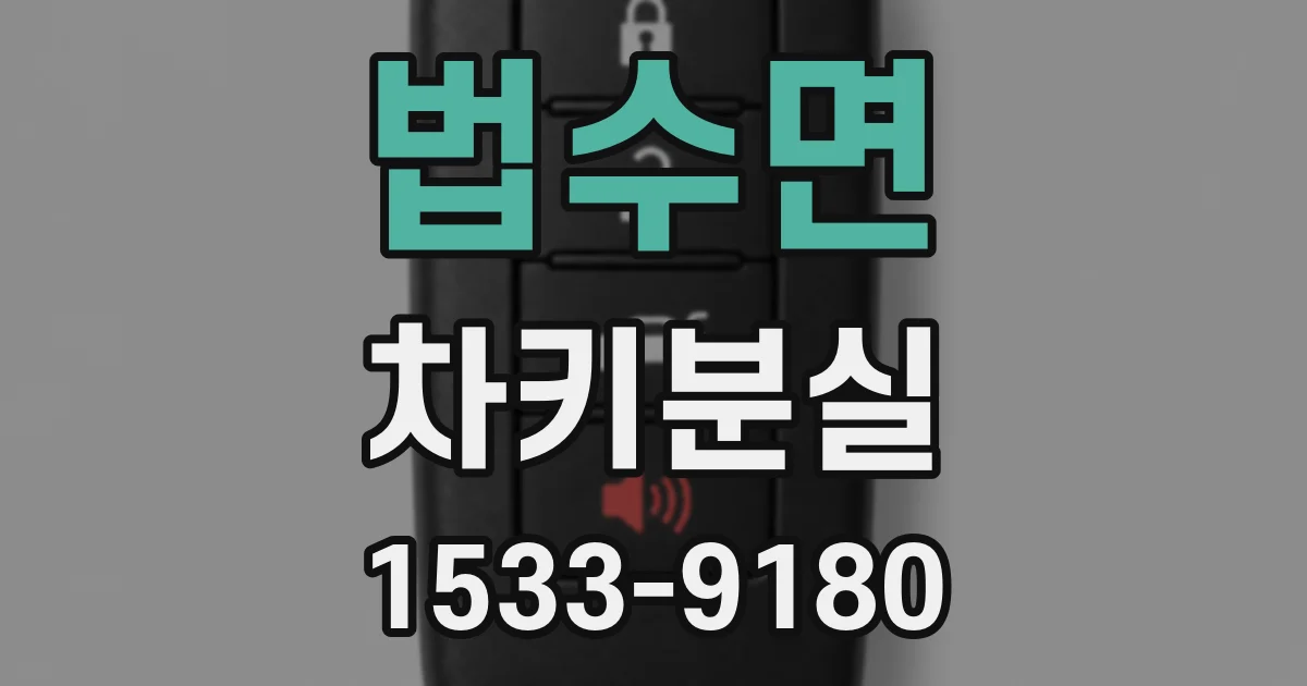 법수면 차키분실