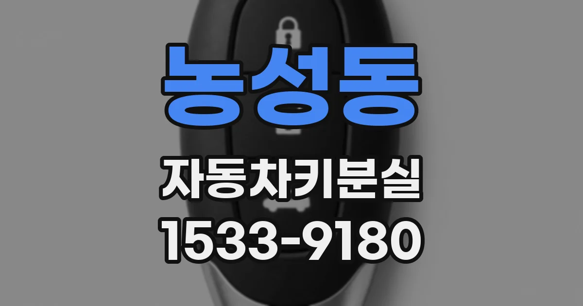 농성동 자동차키분실