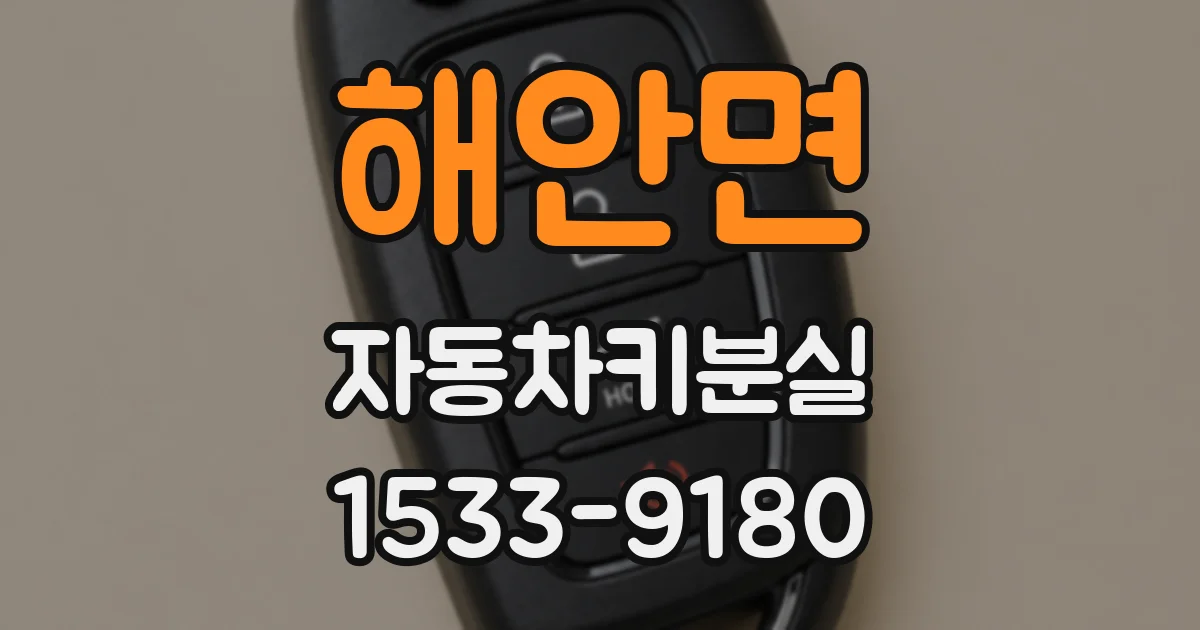해안면 자동차키분실