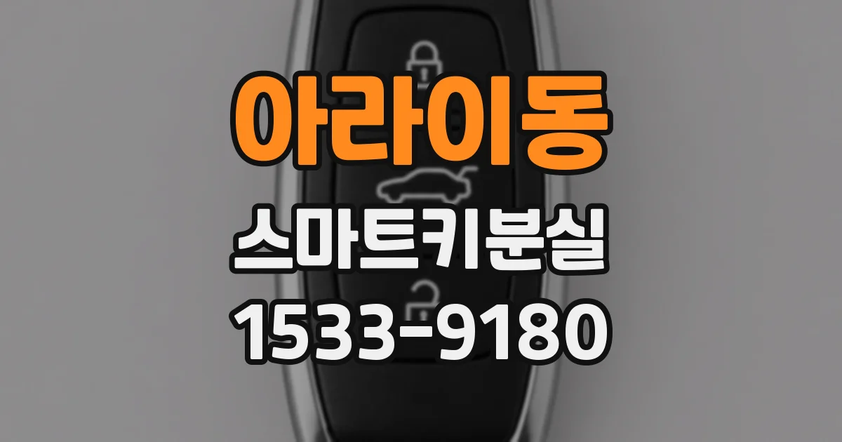 아라이동 스마트키분실