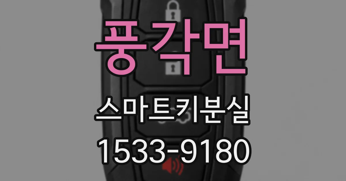 풍각면 스마트키분실