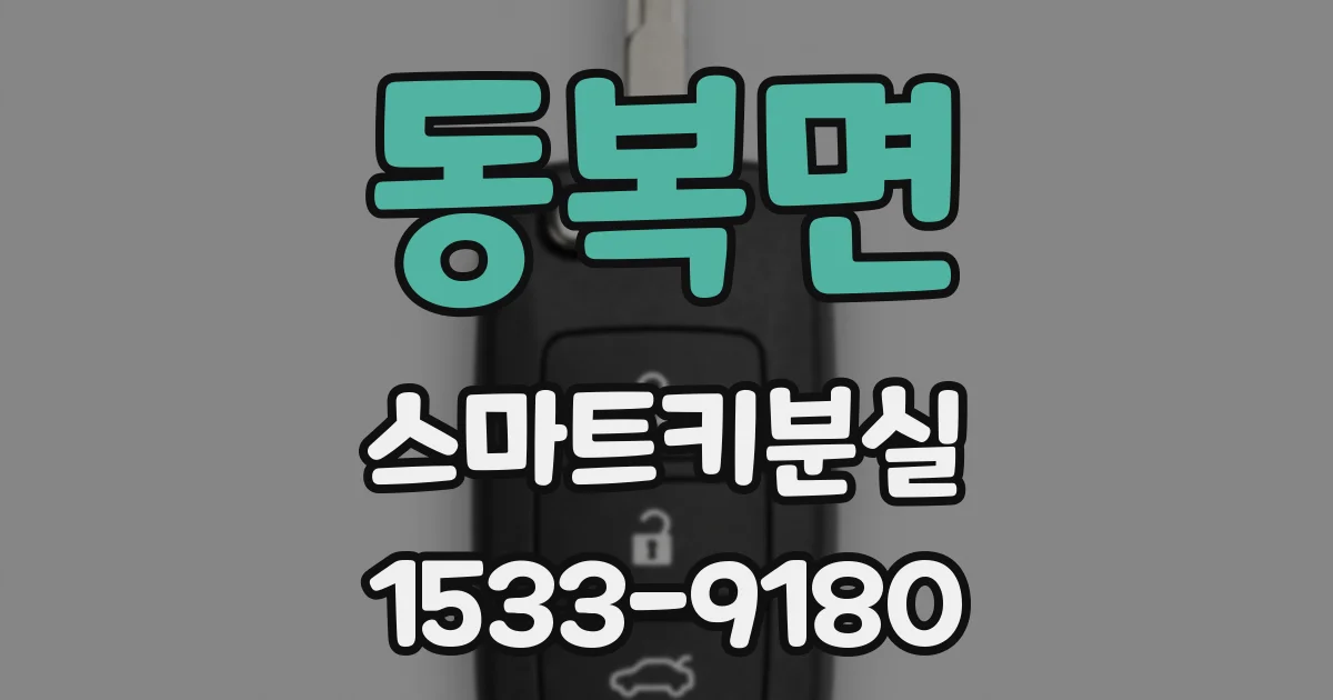 동복면 스마트키분실