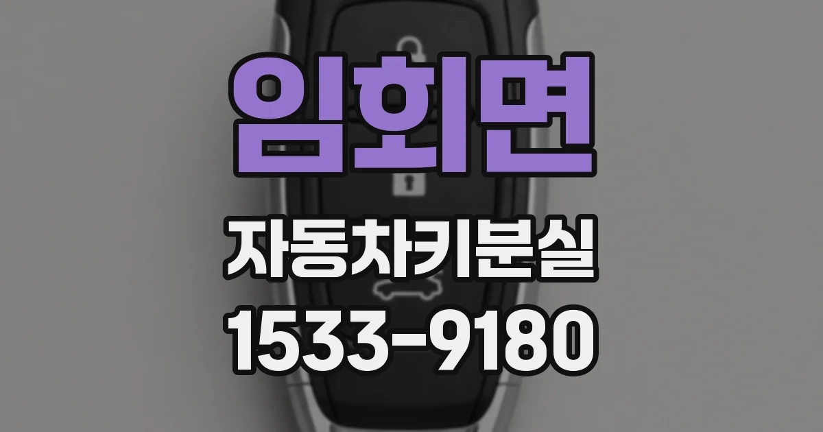 임회면 자동차키분실