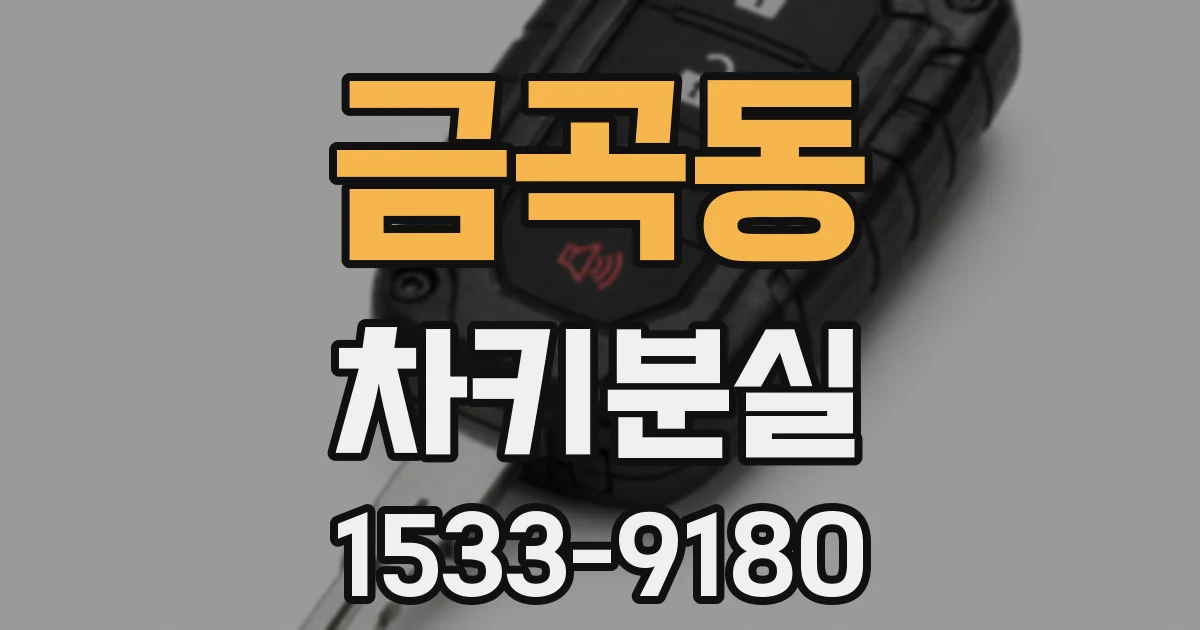 금곡동 차키분실